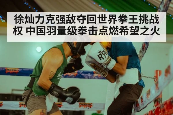 徐灿力克强敌夺回世界拳王挑战权 中国羽量级拳击点燃希望之火