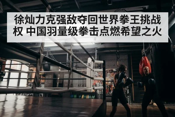 boxer training